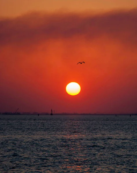 Cenário Pôr Sol Mar Arábico Natureza Kuwait — Fotografia de Stock