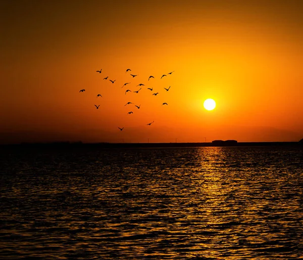 Sonnenuntergang Arabischen Meer Natur Kuwait — Stockfoto