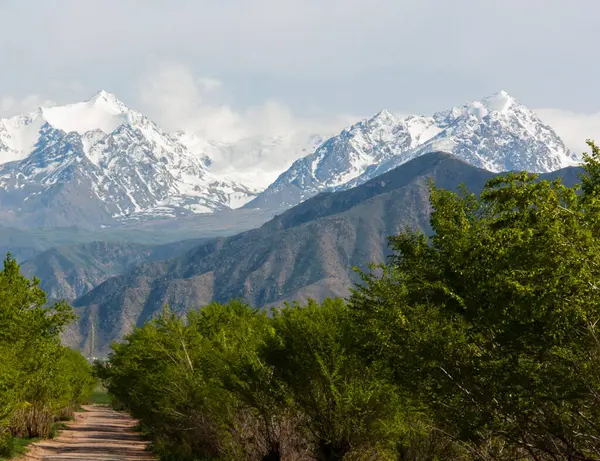 Naturskønne Skud Smukke Kirgisistan Bjerge - Stock-foto