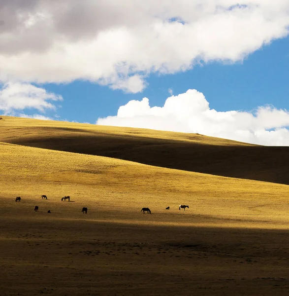 Scenic Shot Beautiful Kyrgyzstan Mountains — Stock Photo, Image