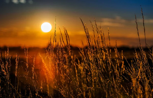 背景のための美しい劇的な日没の風光明媚なショット — ストック写真
