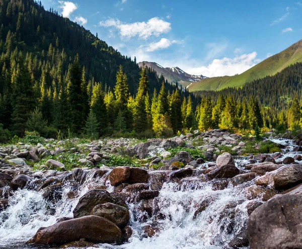 Naturskønne Skud Smukke Kirgisistan Bjerge - Stock-foto