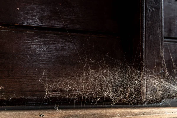 Teia Tecido Aranha Parede Antiga Casa Tailandesa — Fotografia de Stock