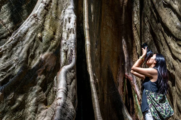 Junge Frau Mit Umhängetasche Und Einer Kamera Einen Riesigen Baum — Stockfoto
