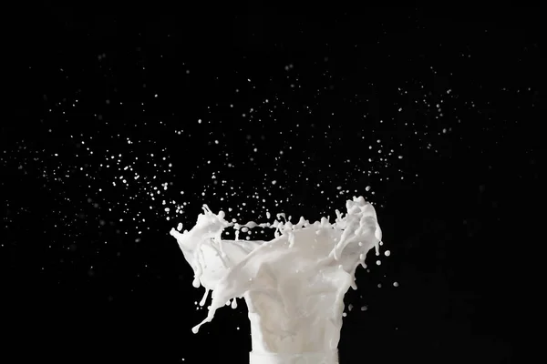 Mleko Splash Czarno Zbliżenie — Zdjęcie stockowe