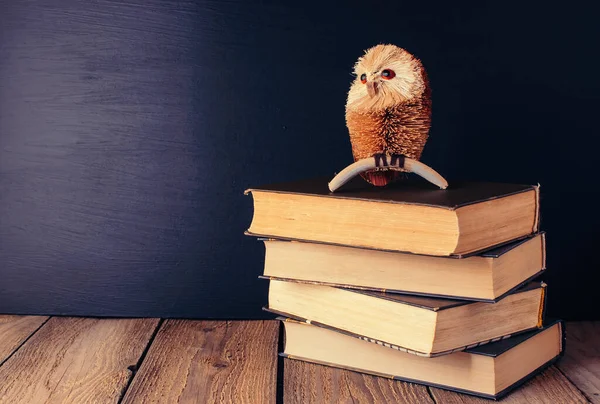 Books Stacked Wooden Table Rustic Style Background School Blackboard Owl — Stock Photo, Image