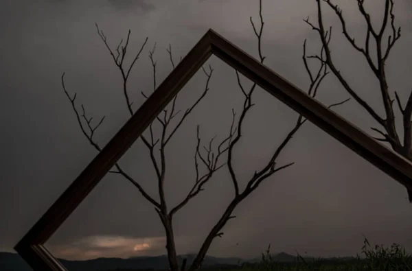 Landschaft Des Sonnenuntergangshimmels Mit Trockenem Baum Der Durch Leere Fotorahmen — Stockfoto