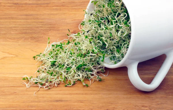 Organic Young Alfalfa Sprouts Cup Wooden Table — Stock Photo, Image