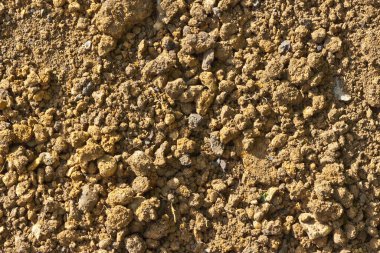 Bahçedeki kuru kahverengi toprağın ayrıntıları.