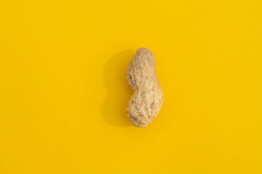 sert gölgeli kabuklu fıstıklar