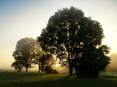 Beyaz Rusya Arka plan için güzel doğal manzara