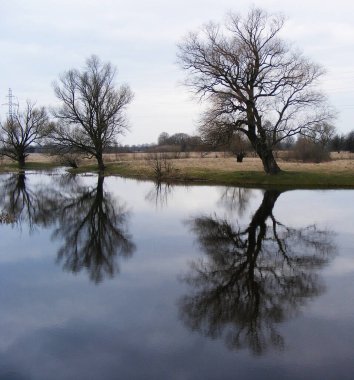 Beyaz Rusya Arka plan için güzel doğal manzara