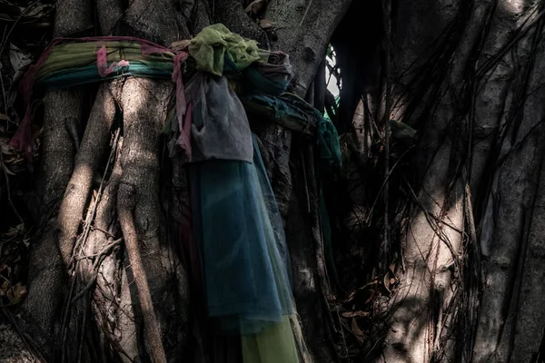Traditional Colorful Fabrics Tied Hanging Big Tree Thai Use Garlands —  Fotos de Stock