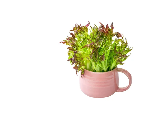 Isolierte Salatsalat Gemüse Rosa Kaffeetasse Mit Clipping Pfad Auf Weißem — Stockfoto
