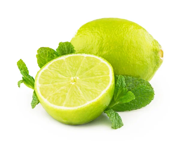 Lime Mint Isolated White Background — Stock Photo, Image