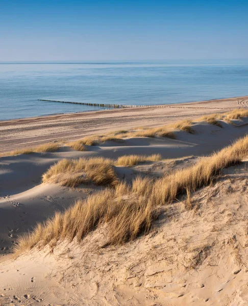 Дюны Почти Пустынный Пляж Голландском Побережье Вблизи Renesse Зеландии Голубым — стоковое фото
