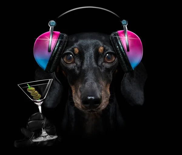 Cão Ouvindo Música — Fotografia de Stock