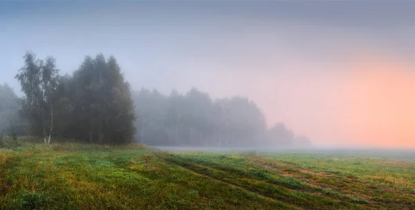 Belarús Hermoso Paisaje Natural Para Fondo — Foto de Stock