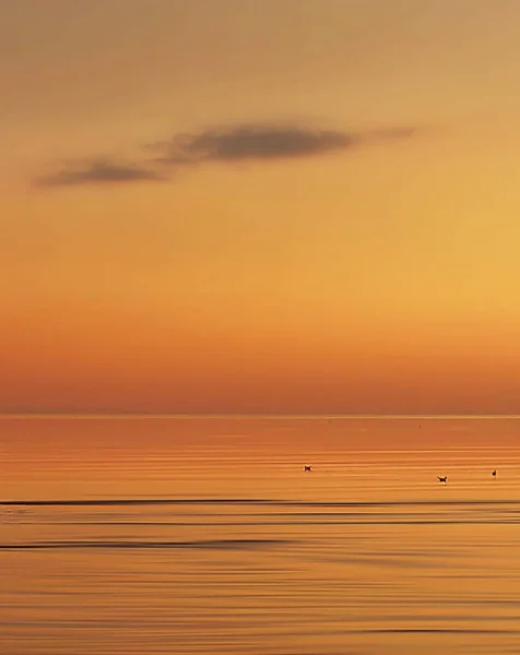Malerischer Meerblick Sonnenlicht Natürlicher Hintergrund — Stockfoto