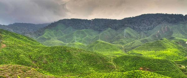 Malaysia Nature Scenic View — Stock Photo, Image