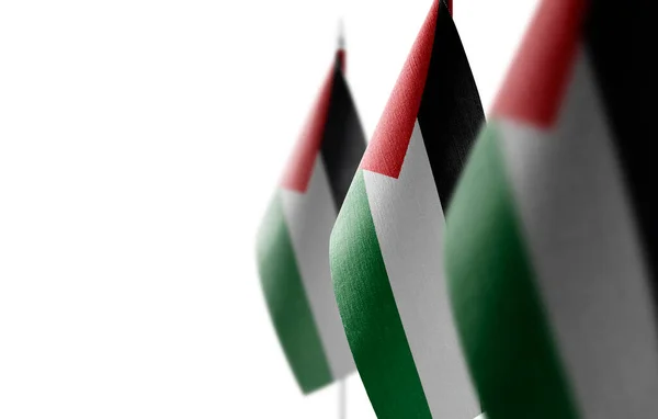 Små Nasjonale Flagg Palestina Hvit Bakgrunn – stockfoto