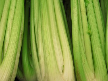 Taze kereviz, yakın çekim görüntüsü