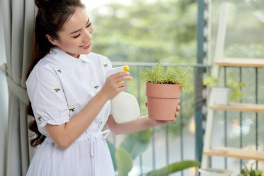 A woman watering and spraying home plants. Concept of home garden. Spring time.Taking care of home plants.