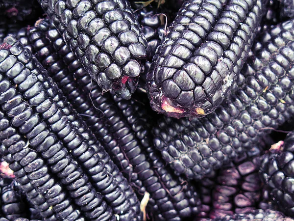 Pile Peruvian Purple Corn — Stock Photo, Image