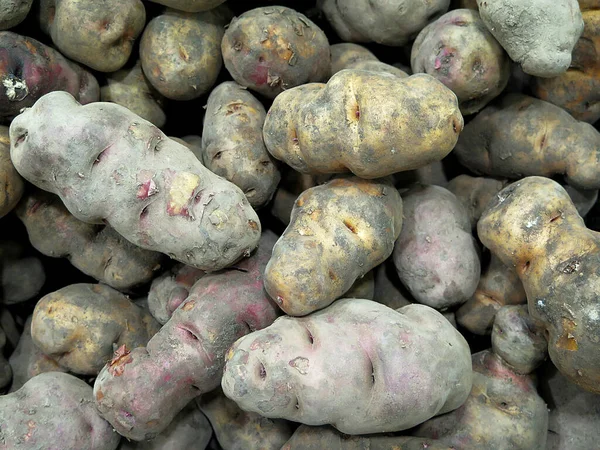 Περουβιανές Πατάτες Κοντινή Θέα — Φωτογραφία Αρχείου