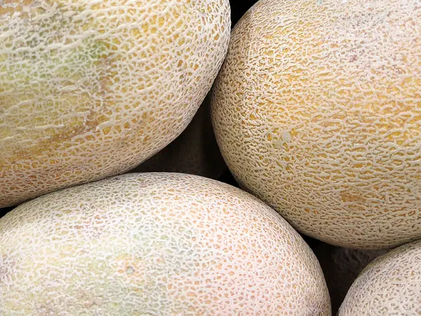 Yellow Melon Background View — Stock Photo, Image