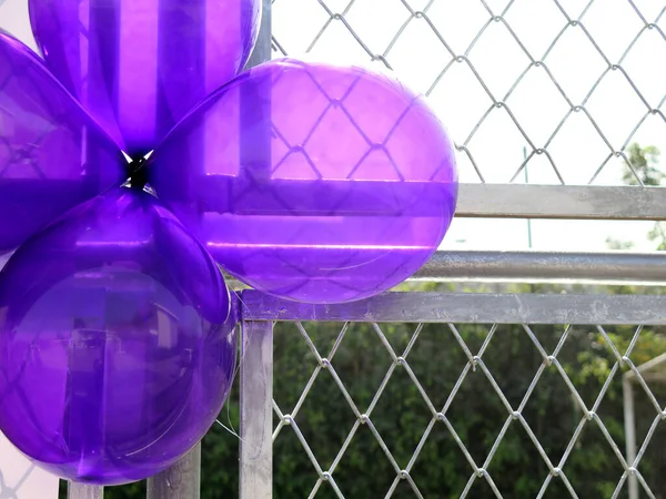 Partie Violette Ballons Vue Fond — Photo