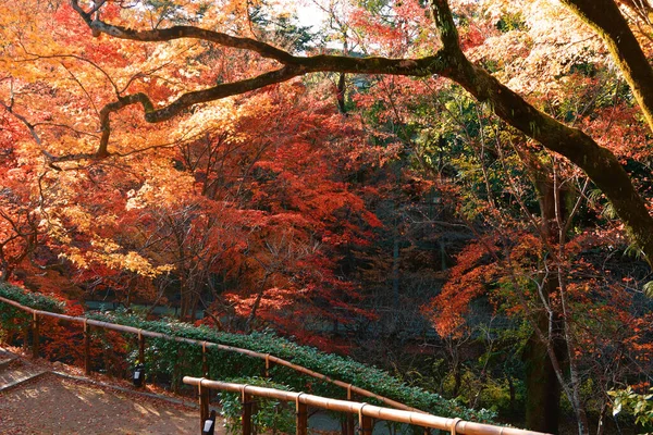 Japonya 'daki renkli halk parkı