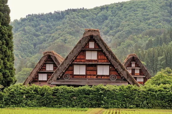 Shirakawago Village Världsarv Höst Och Berg Bakgrund Japan — Stockfoto