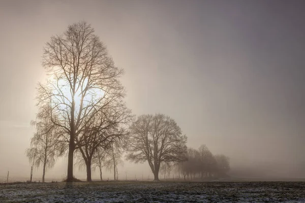Paisaje Invernal Dramática Niebla Matutina —  Fotos de Stock