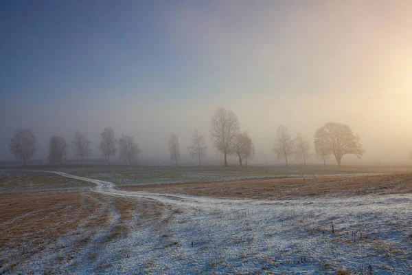 Winterlandschaft Dramatischen Morgennebel — Stockfoto