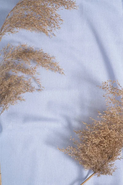 Modrá Neutrální Barevný Textil Plátno Látky Blízkosti Dekoru Suché Pampas — Stock fotografie