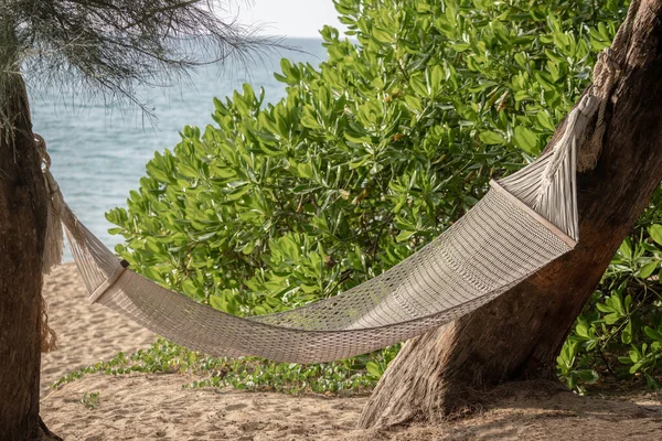 美しいビーチと熱帯の島の木の間でハンモックスイング — ストック写真
