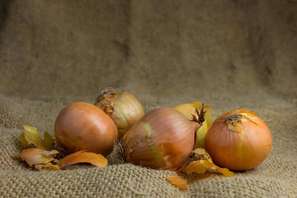 Group Unpeeled Onions Close View — Stock Photo, Image