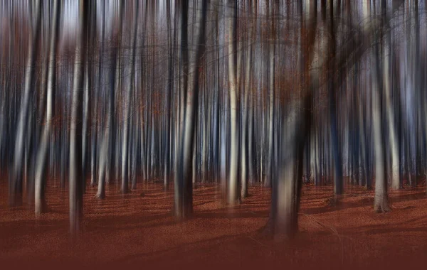 Natuur Achtergrond Herfst Landschap Creatief Artistiek Behang — Stockfoto