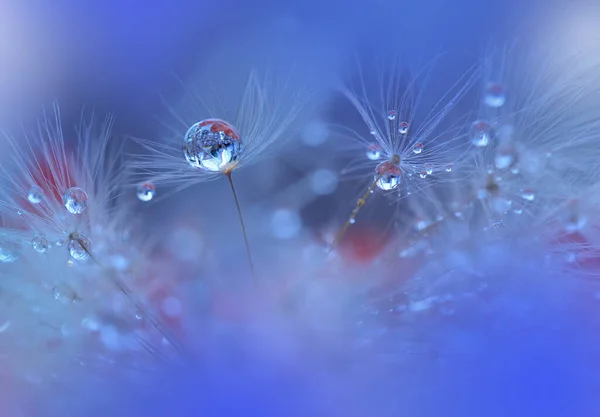 Schöne Blaue Natur Background Floral Art Design Abstract Makrofotografie — Stockfoto