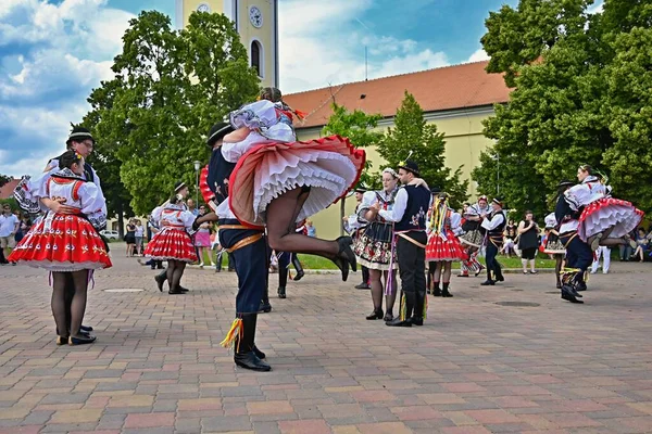 Brno Bystrc Česká Republika Června 2019 Tradiční Česká Slavnost Folkový — Stock fotografie