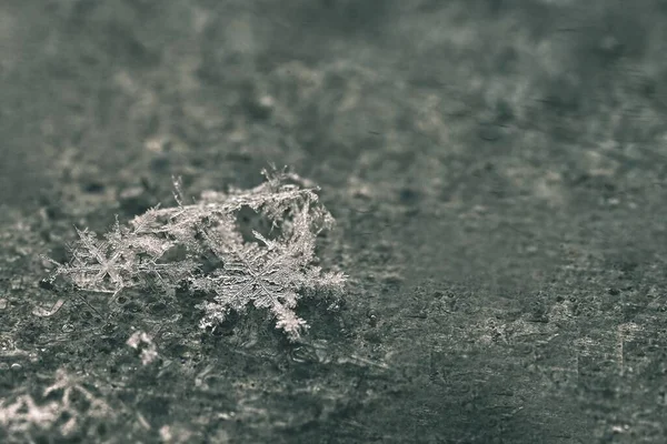 Vero Fiocco Neve Bellissimo Macro Colpo Neve Ghiacciata Inverno — Foto Stock