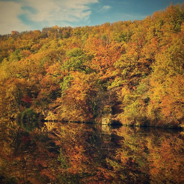 Красивый Осенний Пейзаж Естественный Красочный Фон — стоковое фото