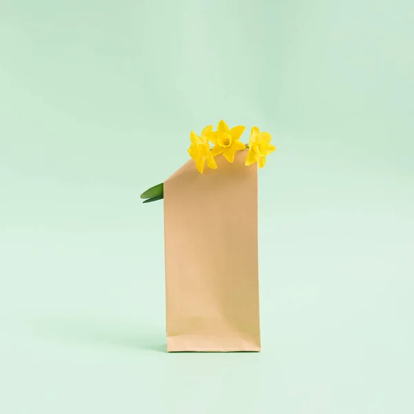 Bouquet Fleurs Jacinthes Dans Sac Papier Brun Sur Fond Vert — Photo