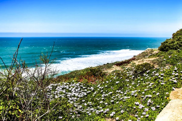 Cliff Edge Looking Atlantic Ocean Covered Vegetation — Stock Photo, Image