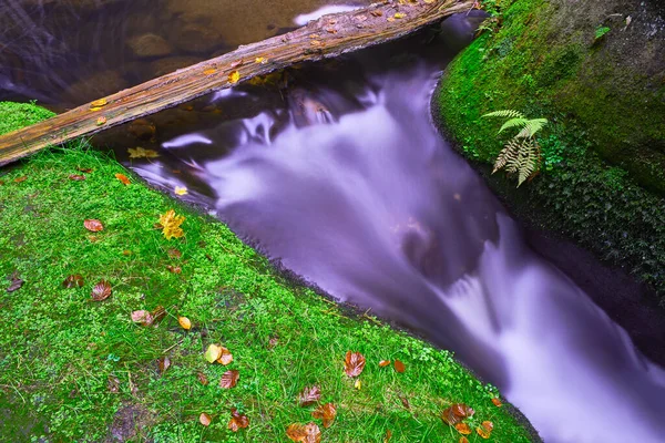 Ruisseau Automne Dans Forêt — Photo