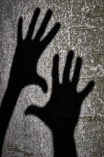 Zwei Hände Schatten Ansicht — Stockfoto