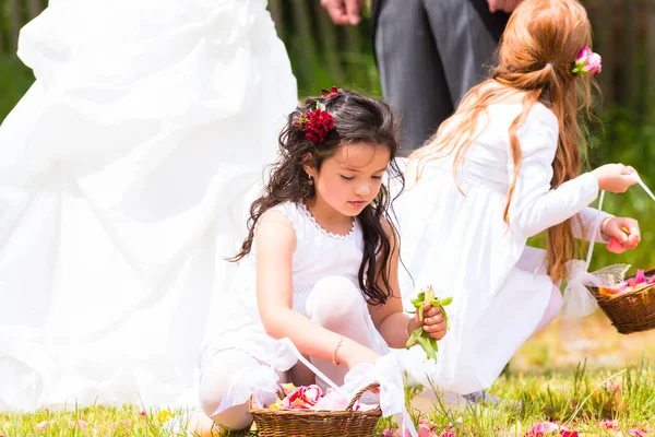Wedding Bridesmaids Flower Petal Basket — Stock Photo, Image