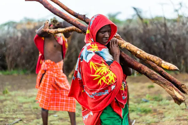 Massai Men Collecting Firewood — Stock Photo, Image