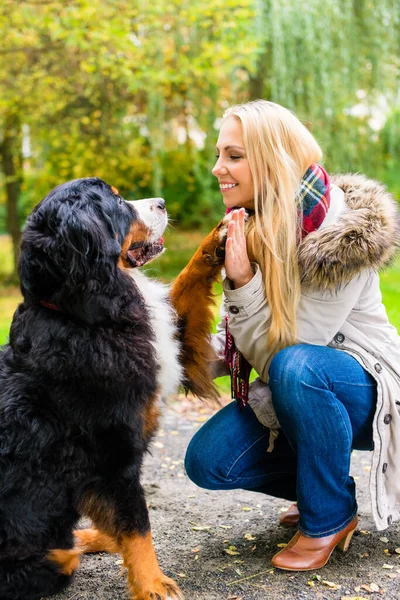 Dog Shaking Hands Paw His Woman — Stock Photo, Image